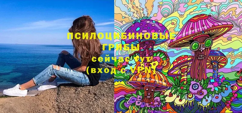 Галлюциногенные грибы Cubensis Бодайбо